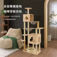 Страна чудес Юньмяо