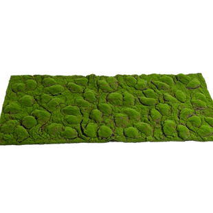 仿真苔藓假绿植造景庭院生态微景观配材装饰仿生青苔人造草坪摆件