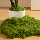 仿真毛线苔藓造景室内仿生青苔绿植微景观布置盆景假草皮铺面装 饰