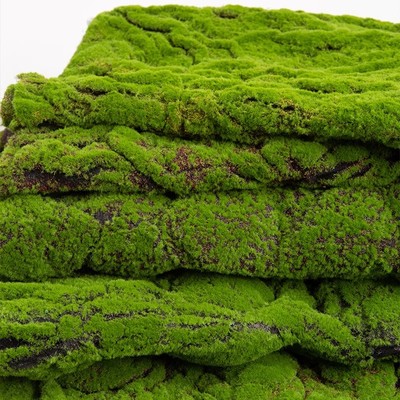 高端仿真苔藓假绿植造景diy材料
