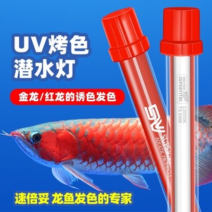 速倍妥鱼缸灯龙鱼专用烤色灯金龙红龙UV发色灯T5灯管潜水增艳灯