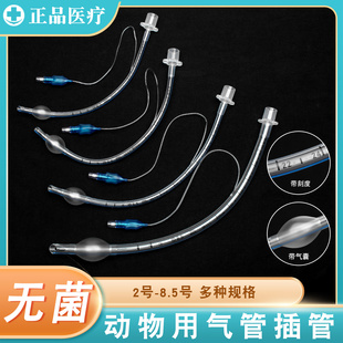 动物气管插管兽用猫狗牛羊宠物呼吸麻醉手术用带囊球无菌导管插管
