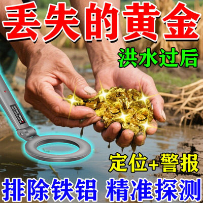 2025新款金属探测仪器地下户外高精度手持式黄金子银铜钢铁木10米