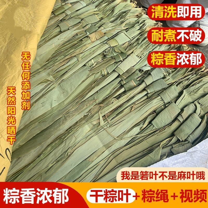 粽叶新鲜干粽叶批发端午节家用粽子纯天然野生竹叶叶子棕子叶商用