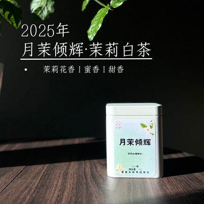2025新茶香茉莉花茶五窨