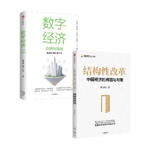 數(shù)字經(jīng)濟(jì) 黃奇帆等 著 經(jīng)濟(jì) 結(jié)構(gòu)性改革