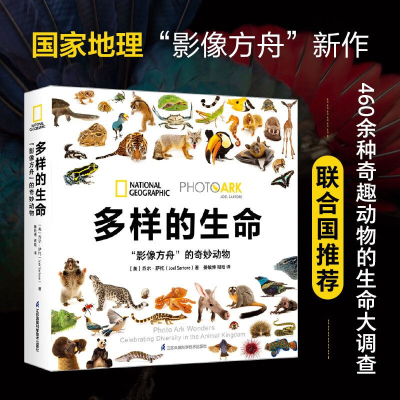 多样的生命影像方舟的奇妙动物