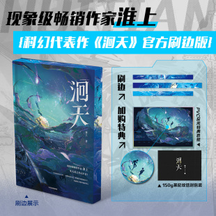 淮上文学 刷边版 小说 洄天