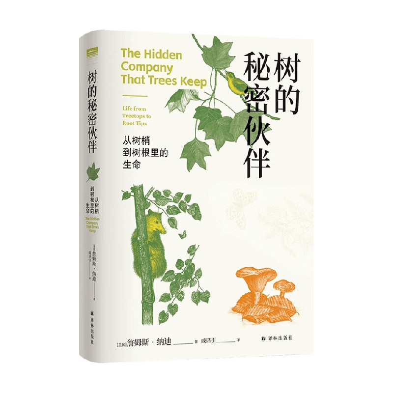 天际线丛书树的秘密伙伴