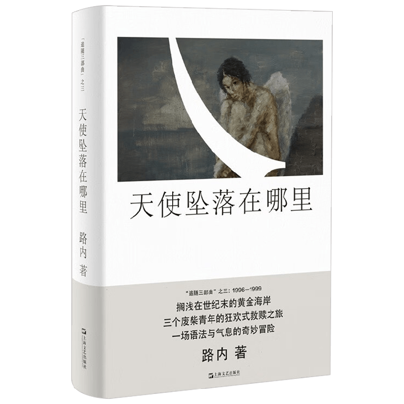 天使坠落在哪里 路内追随系列 路内 著 小说