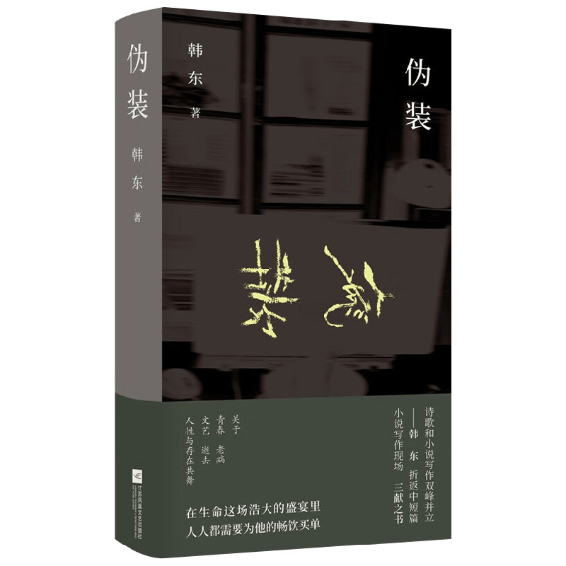 伪装 韩东 著 小说