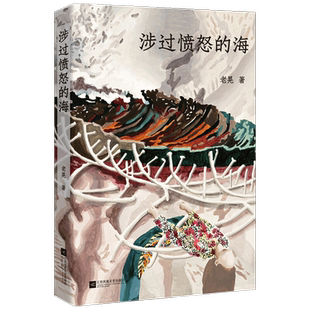涉过愤怒的海 老晃著 曹保平执导同名电影原著小说 影视同期书 浮
