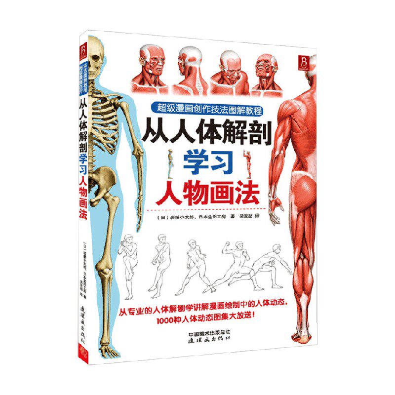 从人体解剖学习人物画法