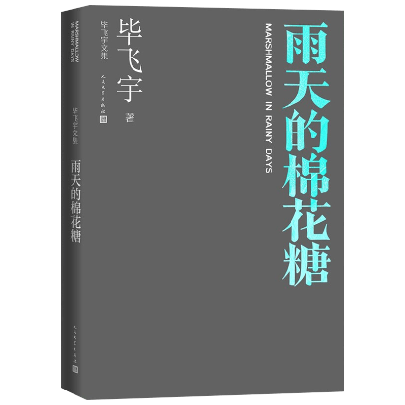 雨天的棉花糖 毕飞宇 著 小说