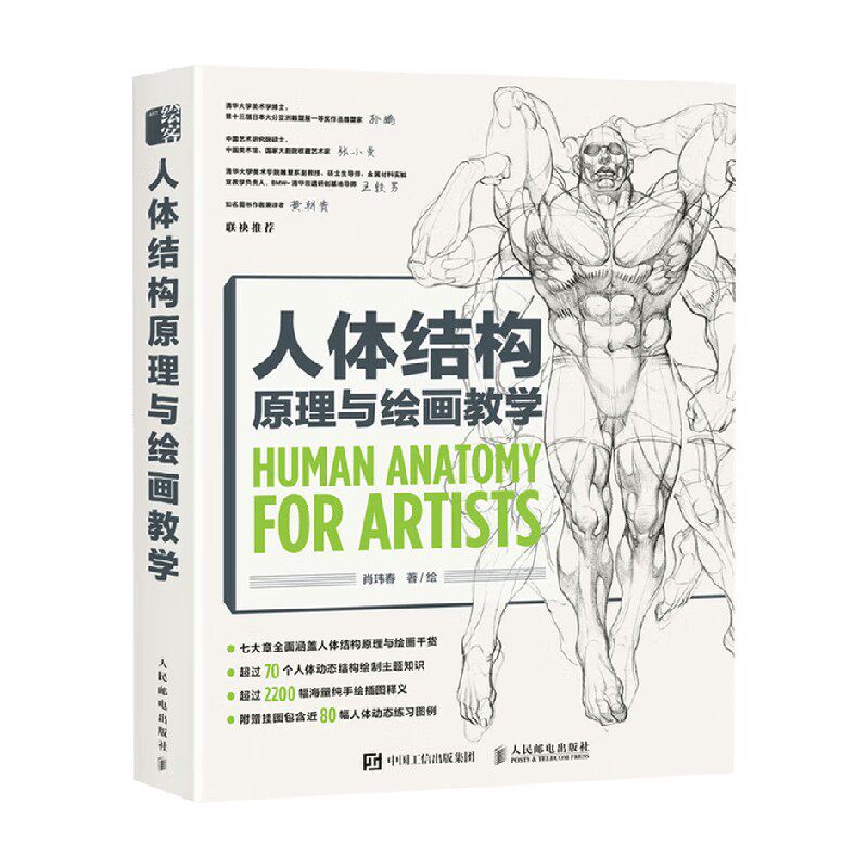 人体结构原理与绘画教学