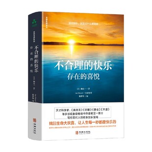 不合理的快乐 存在的喜悦 杨定一 著 励志与成功