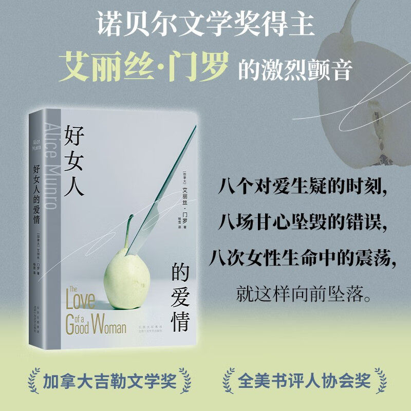 好女人的爱情 艾丽丝·门罗 著 小说