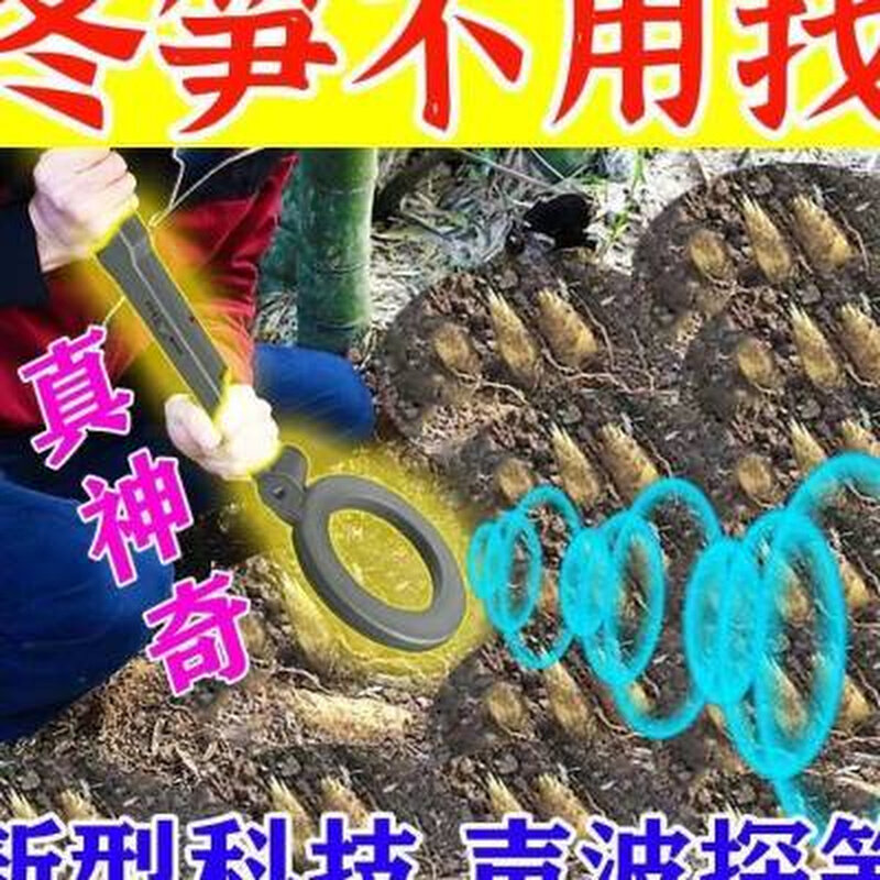 看见笋冬笋探测器探下挖z笋高精度竹专地测仪找笋笋用