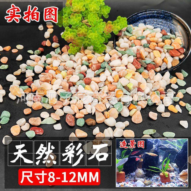 原生溪流石大块专用乌龟水草造景宠物石法沙头铺垫精洗沙子生态办,珠宝/钻石/翡翠,奇石,淘宝优惠券,粉丝福利购,淘宝优惠卷