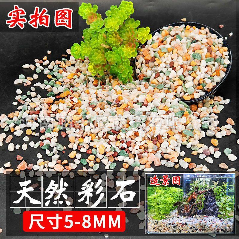 溪流石乌龟专用沙头砂石创意原生套餐水族沙子缸小铺底天然套装异,珠宝/钻石/翡翠,奇石,淘宝优惠券,粉丝福利购,淘宝优惠卷