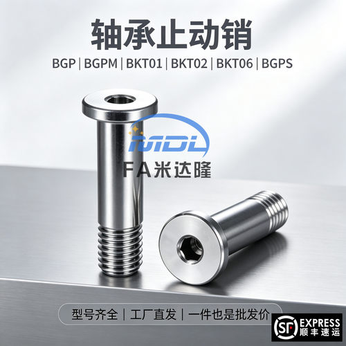 止动销BKT01BKT02BKT06BGP