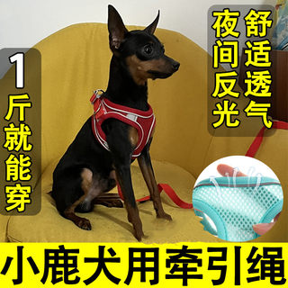 小鹿犬专用透气牵引绳背心式遛狗狗绳可调节夜光胸背小型幼犬夏天