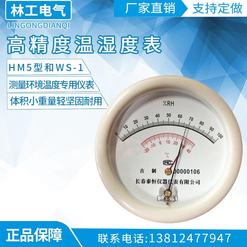 长春泰恒专业级WS-1温湿度表THM-1毛发温度湿度计 干湿度药厂专用