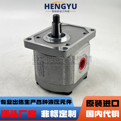 高泰克高压油泵Galtech齿轮泵2SPA6D 2SPA14D泵 1SPA063D液压泵