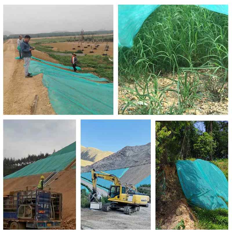 绿化无纺布绿色草坪防寒保湿透气工地防尘盖土护边坡植草籽覆盖膜