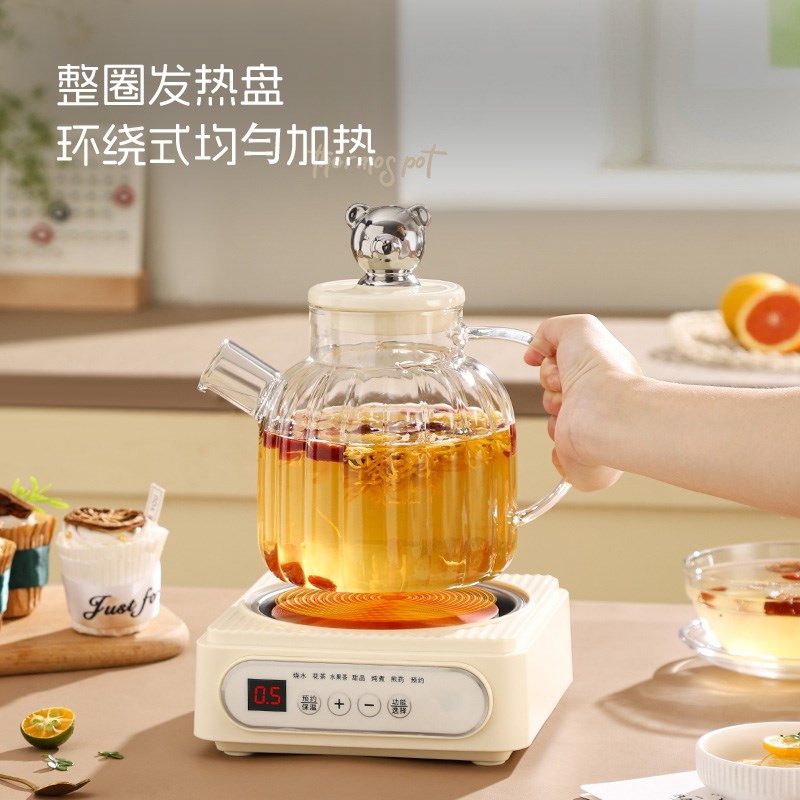 全玻璃煮水壶迷你养生壶家用多功能烧茶壶办公室小型煮茶器花茶壶