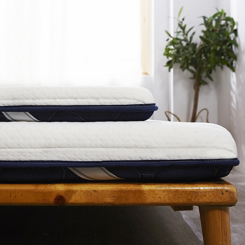 乳胶床垫软垫加厚单人学生宿舍褥子家用榻榻米床垫子记忆棉海绵垫