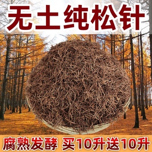 无土纯松针腐熟松针腐叶土松针杜鹃茶花蓝莓君子兰花卉植物酸性