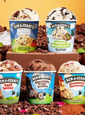 benjerry冰淇淋薄荷巧克力布朗尼465mL原装进口大桶装冰激凌雪糕