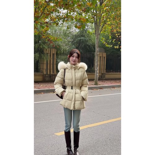 超百搭立领连帽羽绒服外套女