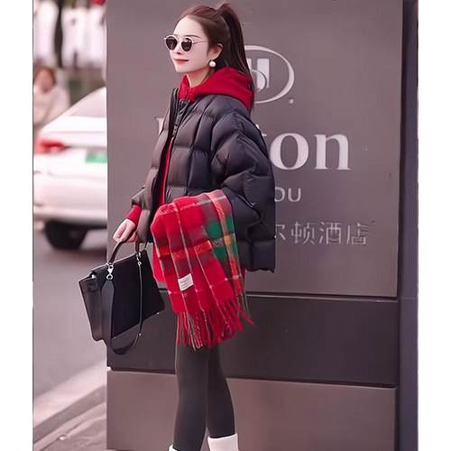 2025冬季韩版小众设计圆领羽绒服