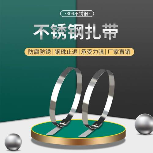 304不锈钢金属扎带收紧器抗老化