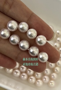 赫本产地直播开蚌取珍珠鲜活淡水河蚌爱迪生单珠活蚌赛澳白项链