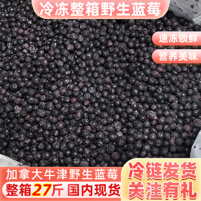 加拿大进口野生蓝莓13.61kg原箱