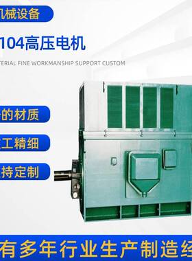 厂家供应臻选电机YR7104-4高压电机4000W6000V6V1500rpm