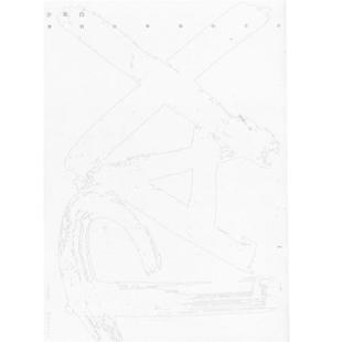 9787540466626 方向 湖南文艺出版 社 著 少年白 天娱传媒 漂到白举纲