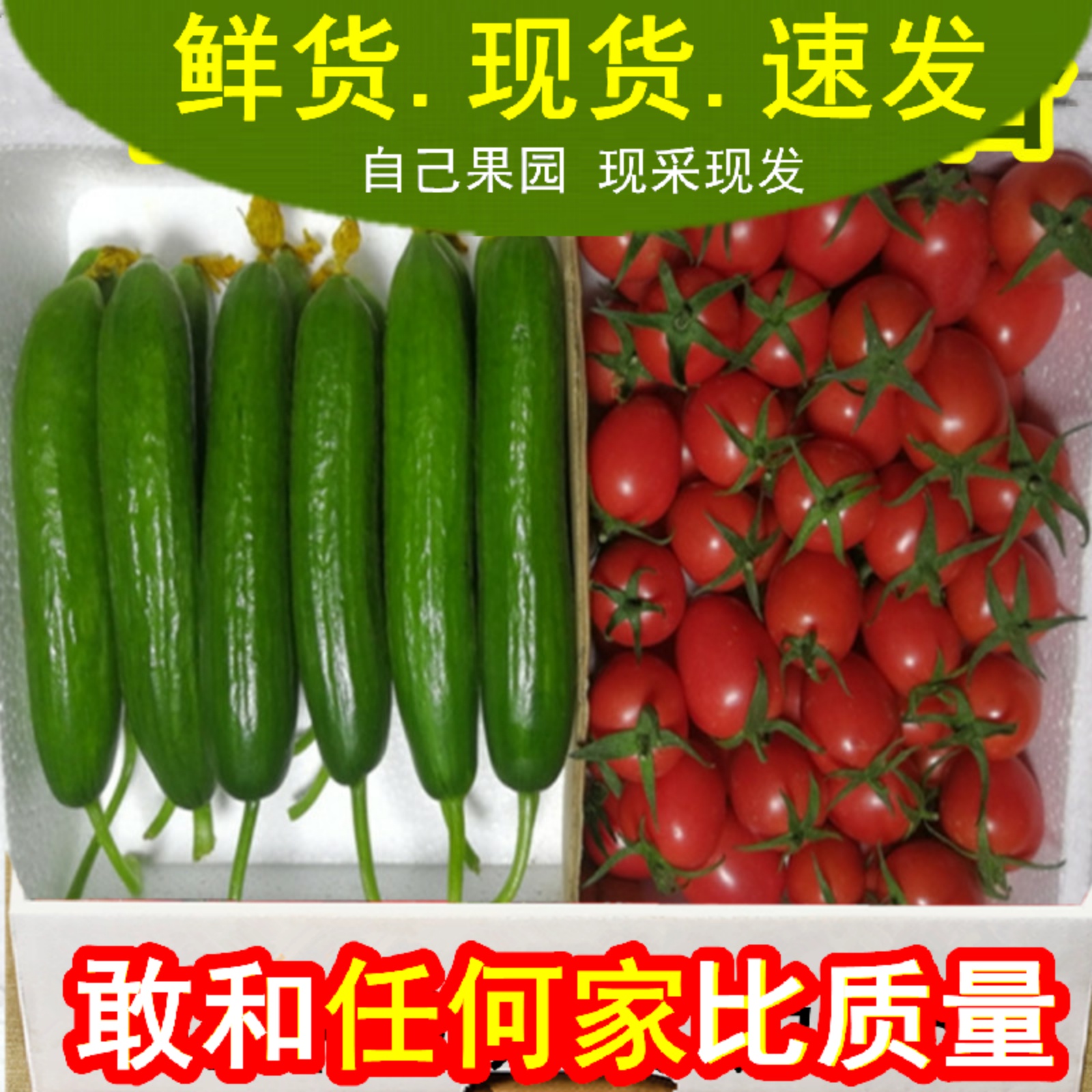 包邮千禧圣女果偲荭园产地直销