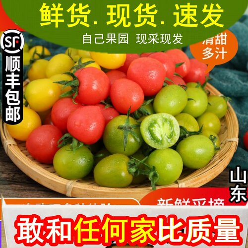 千禧小番茄迷彩色青口蜜绿色