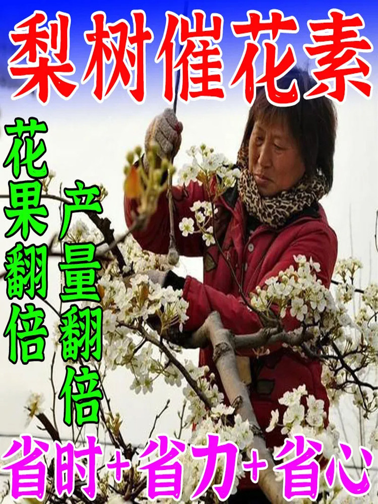 梨树专用授粉药梨树点花药大樱桃沾花素增产防落果素催花座果精