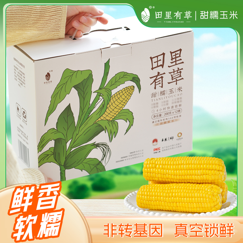 田里有草东北甜糯玉米黄糯玉米新鲜加热即食低脂代餐新鲜糯玉米糯