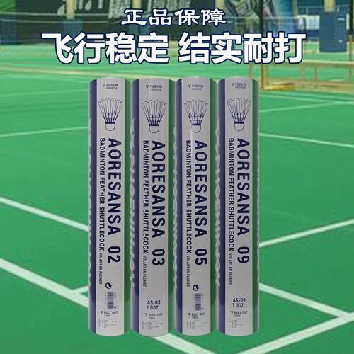 羽毛球正品耐打王05室内室外03训练D用球12只装09防风稳定不易打