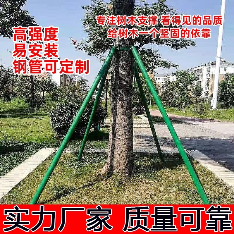 树木支撑架烤漆镀锌钢管园林绿化行道G乔木支撑杆大树铁抱箍固定