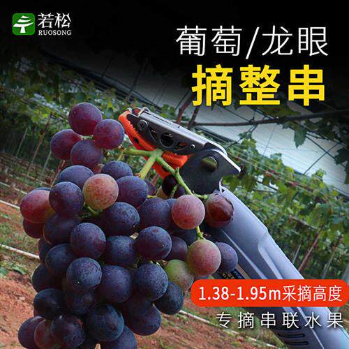 新款电动摘果剪果园伸缩高u枝剪荔枝龙眼修枝剪刀高空加长摘果器
