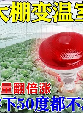 大棚升温灯植物防j寒防冻蔬菜火龙果草莓花卉仿太阳光增温取暖省