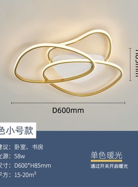 大气主卧室灯ledn吸顶灯温馨浪漫房间简约网红创意灯饰北欧灯具