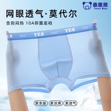 泰恩熊青少年莫代尔内裤薄款透气网孔发育期初高中生男孩抗菌底裤